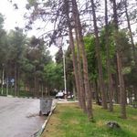 پارک شریعتی