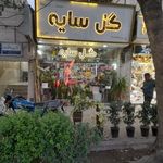گل سایه