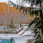 مجتمع قائم یک