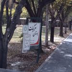 چاقوسازی علی