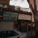 فروشگاه همیشه سبز مازندران