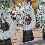 گل فروشی دنیز (آنلاین) -ارسال فوری