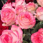 گل فروشی دنیز (آنلاین) -ارسال فوری