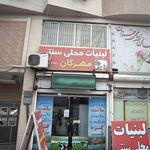 لبنیات محلی چکود