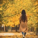 آتلیه کارینو