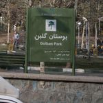 فضای سبز