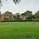دانشگاه آزاد اسلامی دزفول