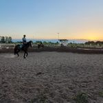 باشگاه سوارکاری همای