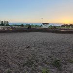 باشگاه سوارکاری همای