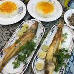 رستوران نمونه رضایی