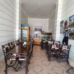 کباب تراز بختیاری