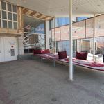 کباب تراز بختیاری