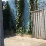 استپ کارواش