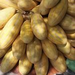 میوه و تره بار کوهسار