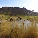 روستای ازمیغان