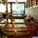 دیزی بار آتیش