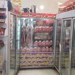 پروتئین گوشت مرغ ماهی شایان