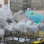 باشگاه بوستان رازیانه