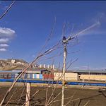 باشگاه سوارکاری کمرد