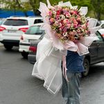 گلفروشی ویوا