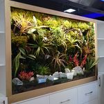 طراحان زیست محیطی پالیز