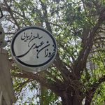 مجموعه تخصصی مو فروزان عبدی