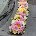 گلفروشی سی تو (ارسال رایگان)