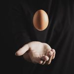 پخش تخم مرغ سورکیان