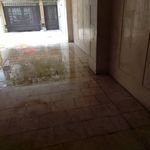شرکت نظافتی پاکیزه تابان زرین (کل تهران)