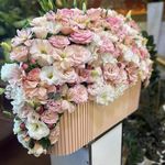 گل سفیر سبز