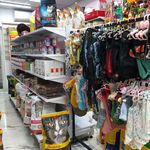 کلینیک دامپزشکی و پت شاپ گیلانا