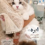 کلینیک حیوانات خانگی دکتر سربازی