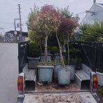 باربری وانت میرک چالوس