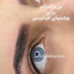 فیبروز مریم میرقاسمی