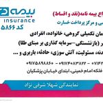 نمایندگی بیمه شرفی نژاد