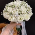 نانالند