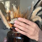 خدمات تخصصی ناخن و اکستنشن مژه نیلای