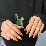 رنگ و لایت ژیلا امیری