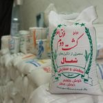 برنج زرین(حسنعلی)