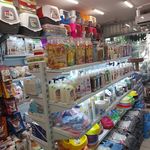 پت شاپ کایان