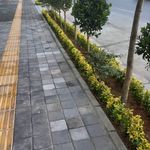 خدمات باغبانی هرس کاری صاحبدل