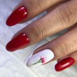 خدمات تخصصی ناخن سودابه ضربی