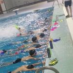 آموزش شنا از مبتدی تا قهرمانی کرمان