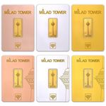 سکه مهدی واعظی