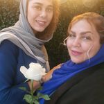 فیشیال و پاکسازی نگار