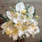 گل فروشی آندیا (شعبه یک)