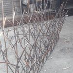 حفاظ شاخ گوزنی