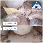 شرکت سمپاشی معجزه