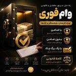 کافی نت، خدمات کامپیوتری، خدمات وام مانی