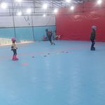 آکادمی اسکیت پرشین گلف